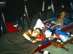 0DIA 1985 RAVA PUPS 1